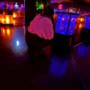 ヒメ日記 2026/04/20 20:25 投稿 レア バニーコレクション秋田店