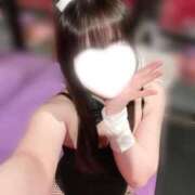 レア ( - -)" バニーコレクション秋田店