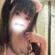 ヒメ日記 2025/07/05 10:49 投稿 あんな 新宿プチドール