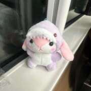 ヒメ日記 2025/08/27 08:19 投稿 あんな 新宿プチドール