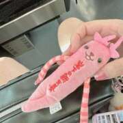 ヒメ日記 2025/09/20 09:42 投稿 あんな 新宿プチドール