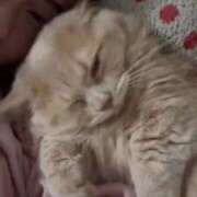 ヒメ日記 2025/05/11 07:43 投稿 ツキ MEGA PALACE(メガパレス）