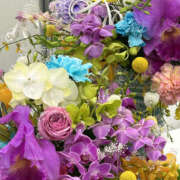 ヒメ日記 2025/05/11 13:30 投稿 こはる 性腺熟女100％（デリヘル市場）