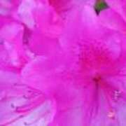 ヒメ日記 2025/06/07 10:49 投稿 椎名まこと しこたま奥様 横浜店