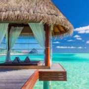 ヒメ日記 2025/04/24 19:34 投稿 佐々木 熟女デリヘル倶楽部