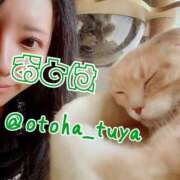 ヒメ日記 2025/12/12 10:16 投稿 体験入店おとは 艶妻