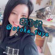 ヒメ日記 2025/12/12 17:04 投稿 体験入店おとは 艶妻