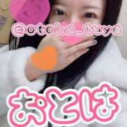 ヒメ日記 2025/12/14 10:01 投稿 体験入店おとは 艶妻