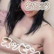 ヒメ日記 2025/12/19 10:23 投稿 体験入店おとは 艶妻