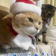 ヒメ日記 2025/12/24 09:38 投稿 体験入店おとは 艶妻