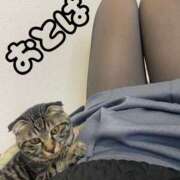 ヒメ日記 2025/12/31 09:45 投稿 おとは 艶妻