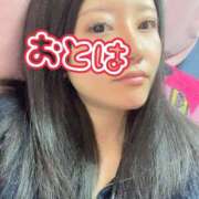 ヒメ日記 2026/01/07 09:43 投稿 おとは 艶妻