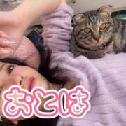 ヒメ日記 2026/01/11 09:41 投稿 おとは 艶妻