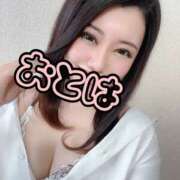 ヒメ日記 2026/01/18 09:43 投稿 体験入店おとは 艶妻