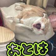 ヒメ日記 2026/01/31 11:05 投稿 おとは 艶妻