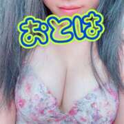 ヒメ日記 2026/02/04 11:24 投稿 おとは 艶妻