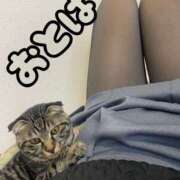 おとは 来週の出勤予定 ででん 艶妻