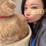 ヒメ日記 2026/03/09 09:51 投稿 おとは 艶妻