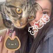 ヒメ日記 2026/03/10 09:47 投稿 おとは 艶妻