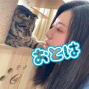 ヒメ日記 2026/03/14 10:30 投稿 おとは 艶妻