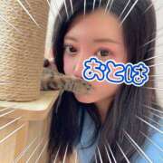 ヒメ日記 2026/03/21 09:41 投稿 おとは 艶妻