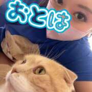 ヒメ日記 2026/03/22 11:38 投稿 おとは 艶妻