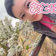 ヒメ日記 2026/03/26 09:44 投稿 おとは 艶妻