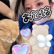 ヒメ日記 2026/04/11 10:32 投稿 おとは 艶妻