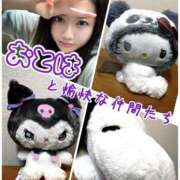 ヒメ日記 2026/04/13 10:19 投稿 おとは 艶妻