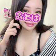 ヒメ日記 2026/05/15 15:28 投稿 おとは 艶妻