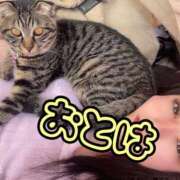 ヒメ日記 2026/06/05 09:28 投稿 おとは 艶妻