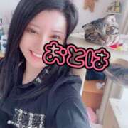 ヒメ日記 2026/06/12 04:58 投稿 おとは 艶妻