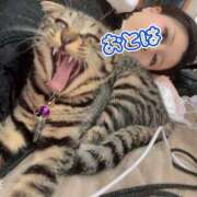 ヒメ日記 2026/06/29 10:15 投稿 おとは 艶妻