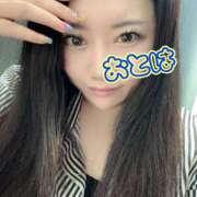 ヒメ日記 2026/09/01 09:26 投稿 おとは 艶妻