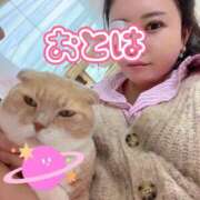 ヒメ日記 2026/10/14 09:12 投稿 おとは 艶妻