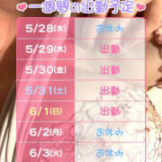 ヒメ日記 2025/05/28 23:45 投稿 ひまり ぺろぺろベロベロ専科 ぺろんちょ