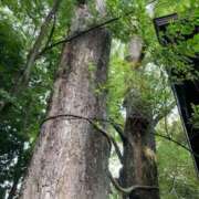 名取 ごめんなさい 昼顔妻 五反田店