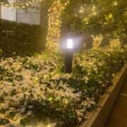 ヒメ日記 2026/02/12 21:46 投稿 名取 昼顔妻 五反田店