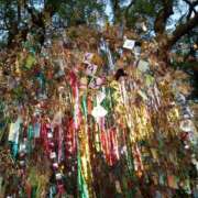 ヒメ日記 2025/07/09 18:18 投稿 本田（ほんだ） 熟女の風俗最終章 名古屋店