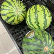 ヒメ日記 2025/08/24 08:22 投稿 本田（ほんだ） 熟女の風俗最終章 名古屋店