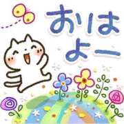 ヒメ日記 2025/09/27 08:22 投稿 本田（ほんだ） 熟女の風俗最終章 名古屋店