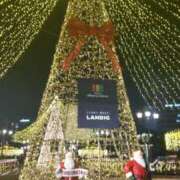 ヒメ日記 2025/11/10 14:42 投稿 本田（ほんだ） 熟女の風俗最終章 名古屋店