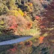 ヒメ日記 2025/12/09 12:12 投稿 本田（ほんだ） 熟女の風俗最終章 名古屋店