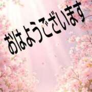 ヒメ日記 2026/02/13 08:34 投稿 本田（ほんだ） 熟女の風俗最終章 名古屋店