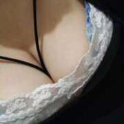 ヒメ日記 2026/03/01 09:22 投稿 本田（ほんだ） 熟女の風俗最終章 名古屋店