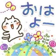 ヒメ日記 2026/05/26 08:32 投稿 本田（ほんだ） 熟女の風俗最終章 名古屋店