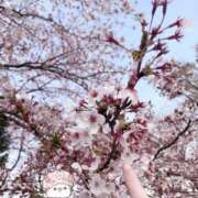 ヒメ日記 2026/04/17 12:48 投稿 もえ 白いぽっちゃりさん仙台店