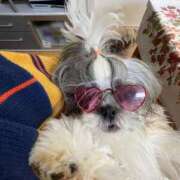 ヒメ日記 2025/06/10 00:47 投稿 ジュリア マリン宮殿雄琴店