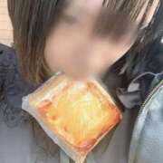 ことね お兄様とご飯食べたい 新潟デリヘル倶楽部