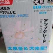 ヒメ日記 2025/05/12 11:33 投稿 けい 丸妻 厚木店